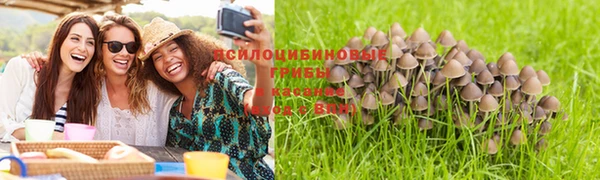 2c-b Алексин