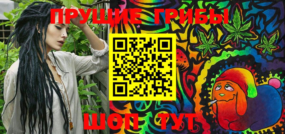 Псилоцибиновые грибы Psilocybine cubensis Димитровград
