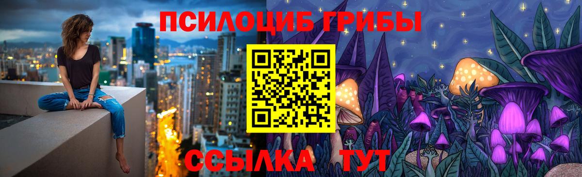 Димитровград  Галлюциногенные грибы Psilocybine cubensis  Вход с VPN  Псилоцибиновые грибы ЛСД 